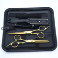 Professional Black Gold Barber Shears - Hair Thinning & Detachable Scissors Kit with Accessories for Salon/Home Use